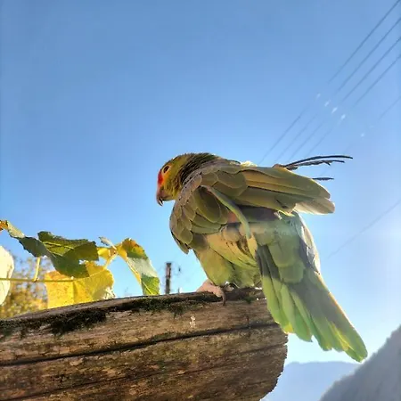 Da Erminia * Verdabbio