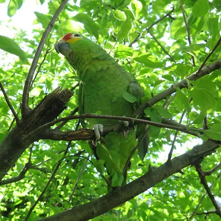 Couette-café Da Erminia *
