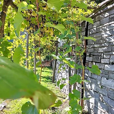 Bed & Breakfast Da Erminia