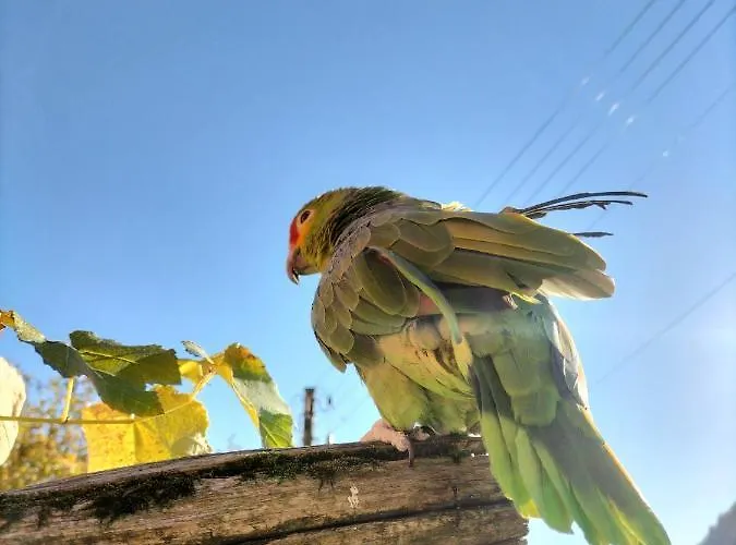 Da Erminia * Verdabbio