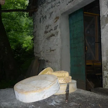 Nocleg ze śniadaniem Da Erminia Verdabbio