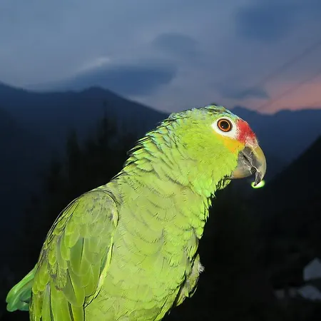 Da Erminia Nocleg ze śniadaniem