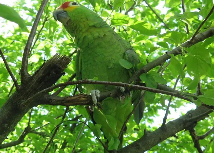 Bed and breakfast Da Erminia *