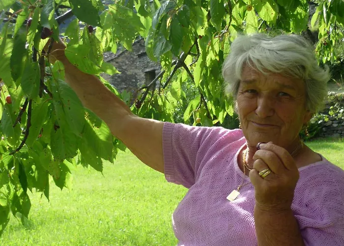 Da Erminia Bed and breakfast Verdabbio