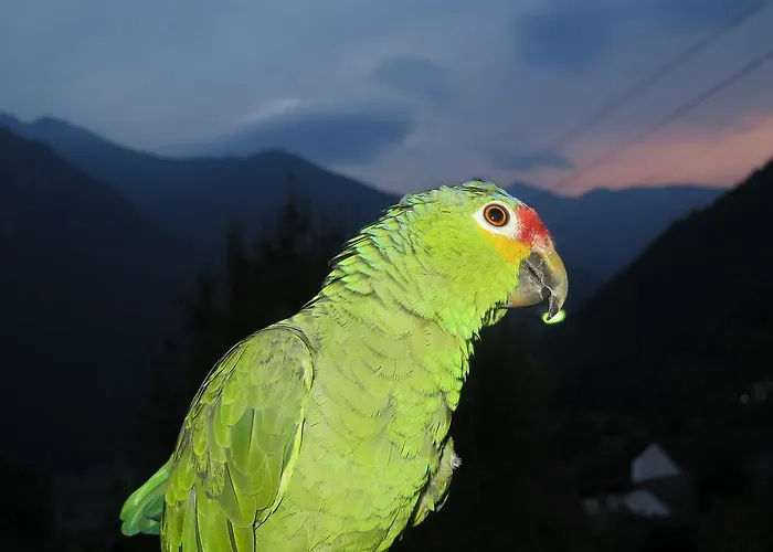 Da Erminia Bed and breakfast